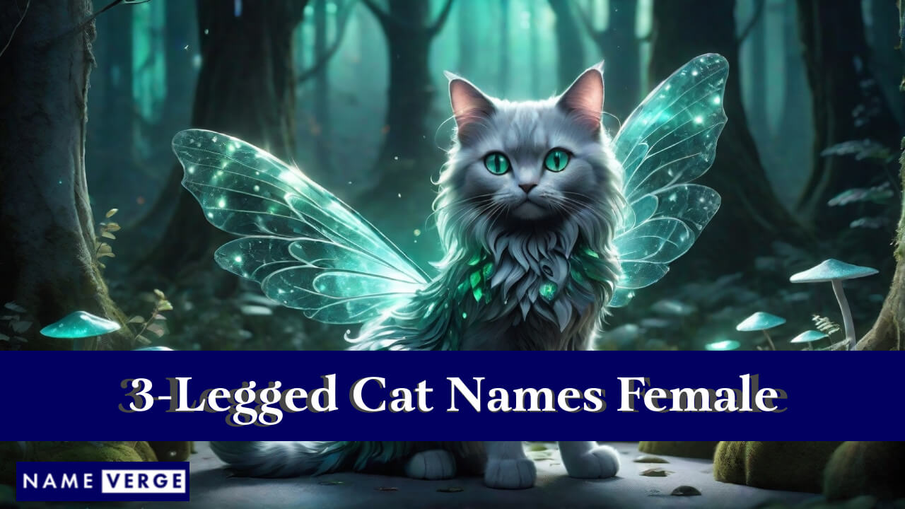 3-Legged Cat Names Female
