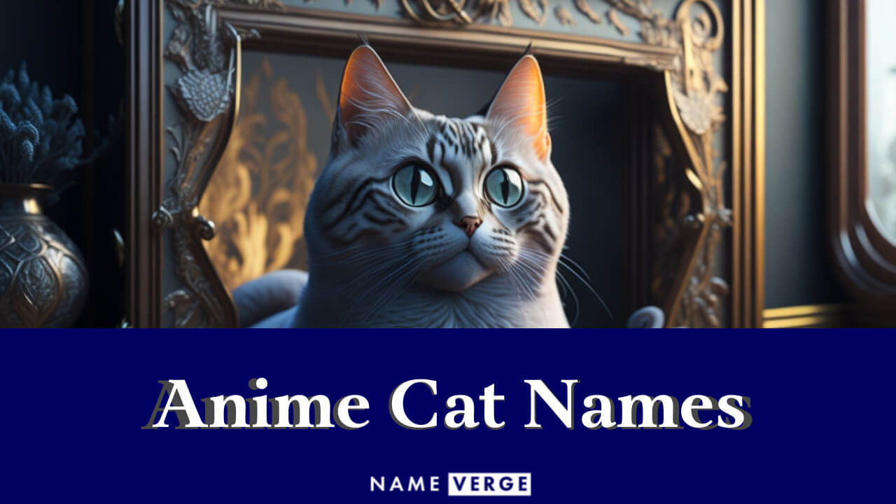 Anime Cat Names: 360 Best Names For Your Pretty Kitty