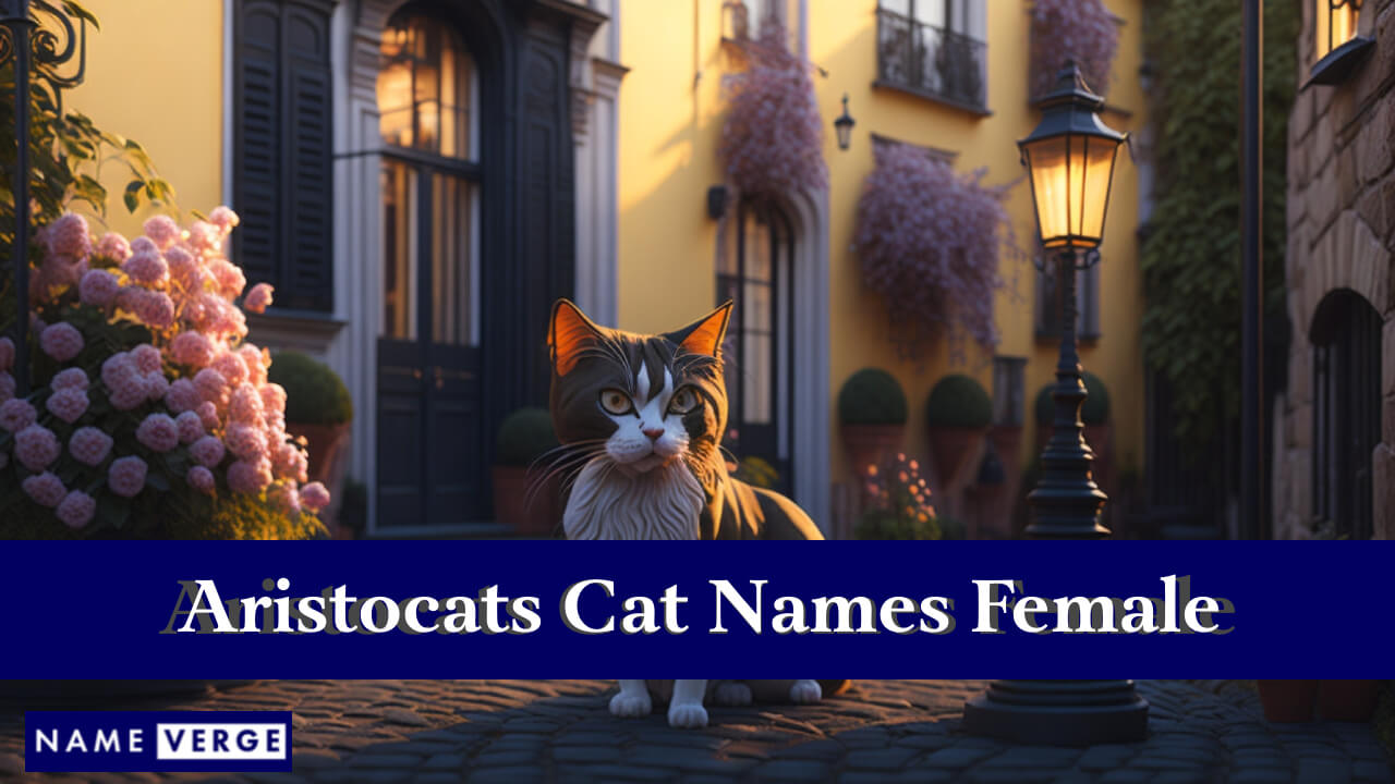 Aristocats Cat Names Female