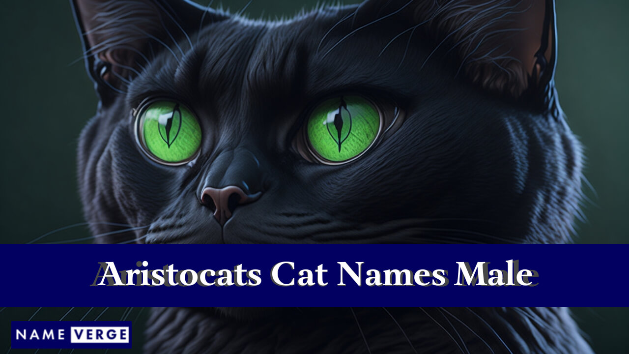 Aristocats Cat Names Male