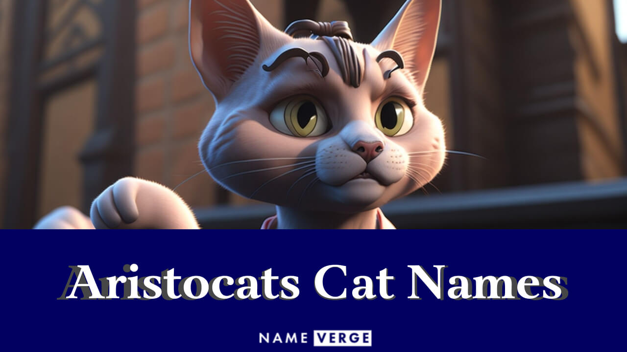 Aristocats Cat Names: 131+ Aristocats Names For Your Cat
