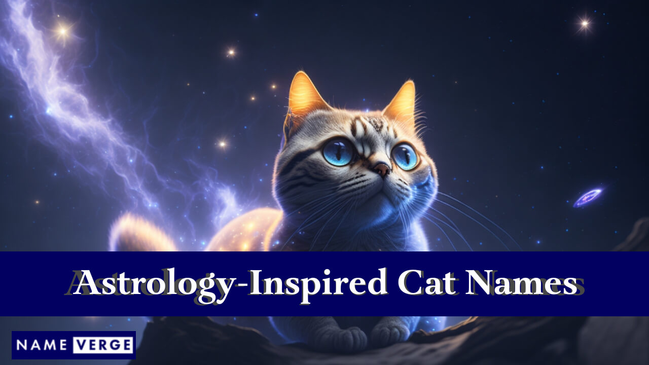 Astrology-Inspired Cat Names