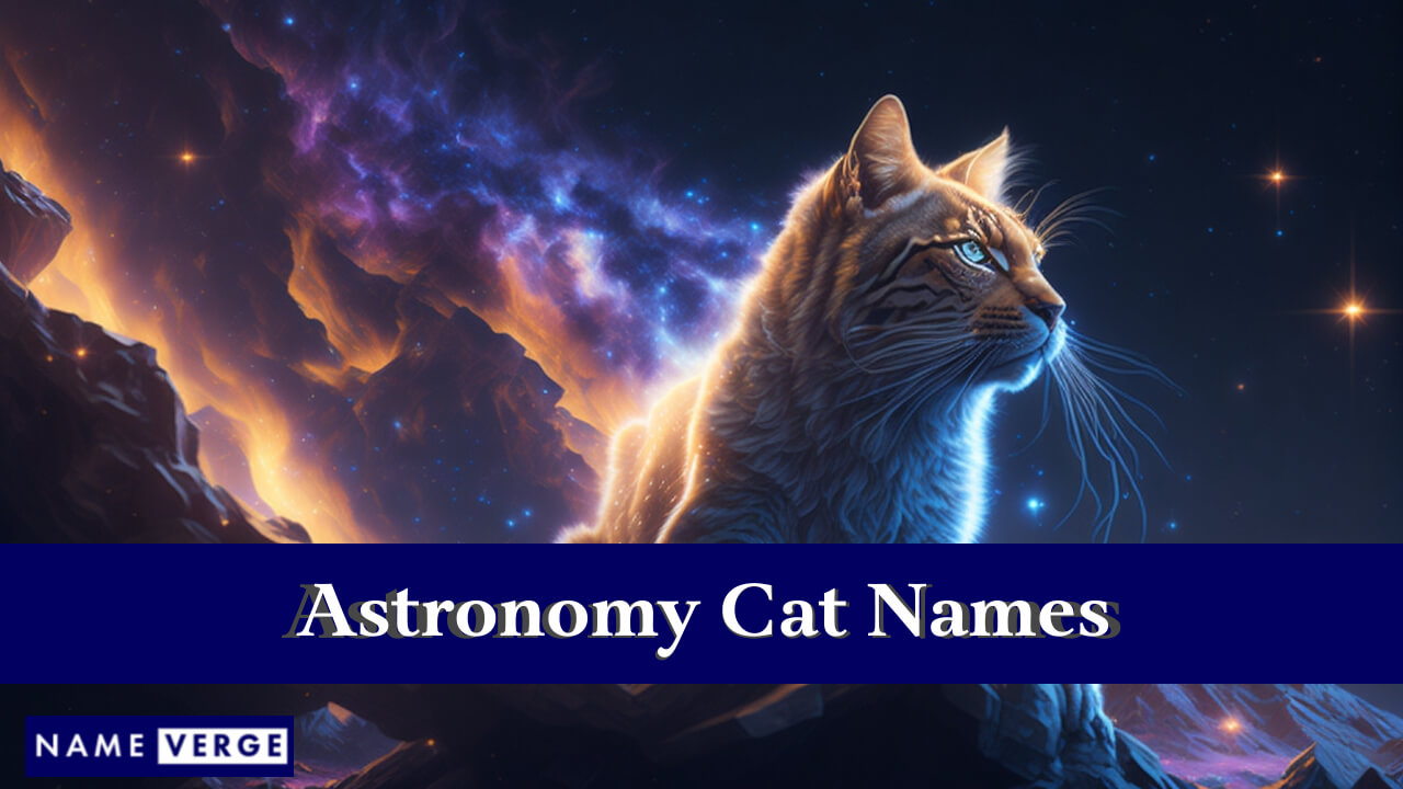 Astronomy Cat Names