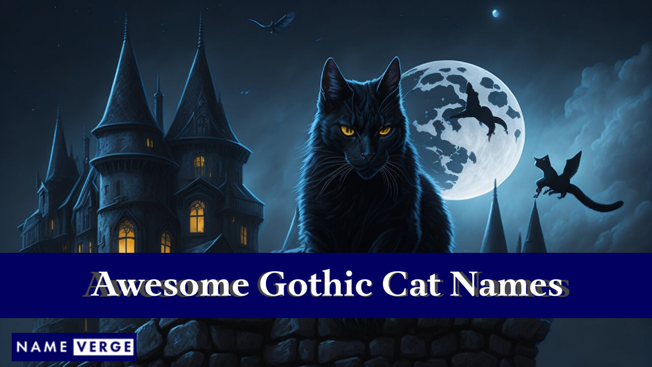 Awesome Gothic Cat Names
