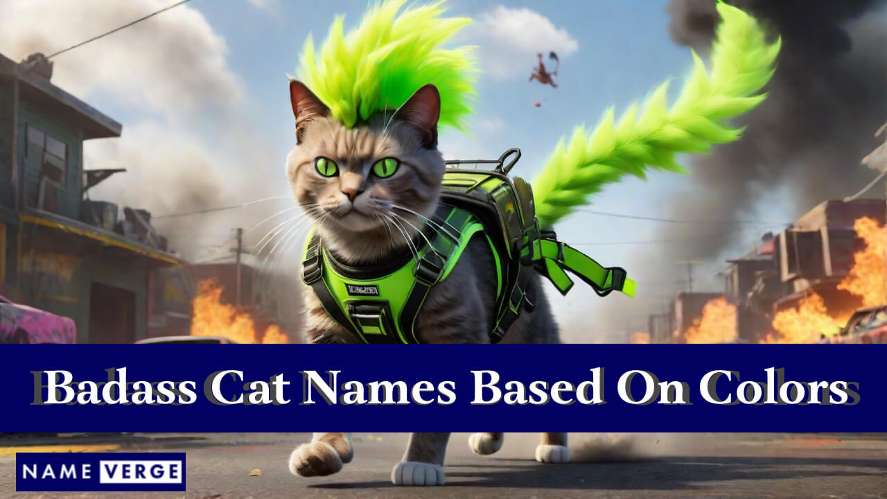 Badass Cat Names Based On Colors