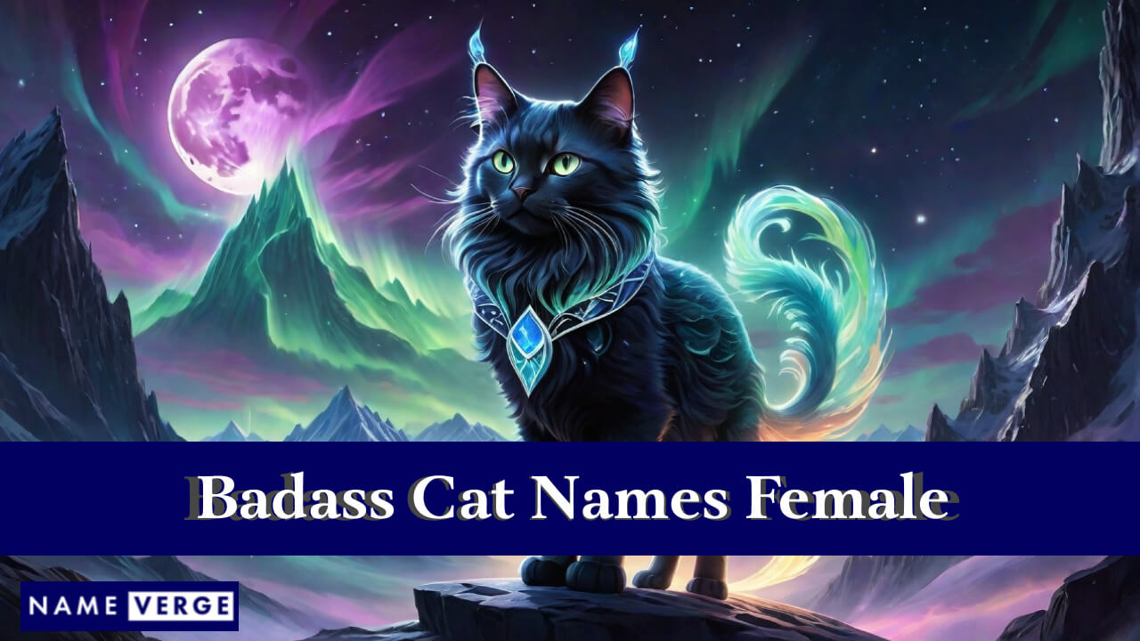Badass Cat Names Female