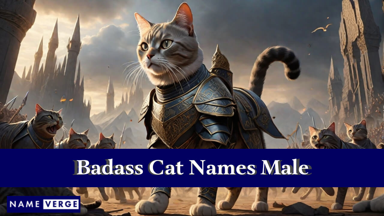 Badass Cat Names Male