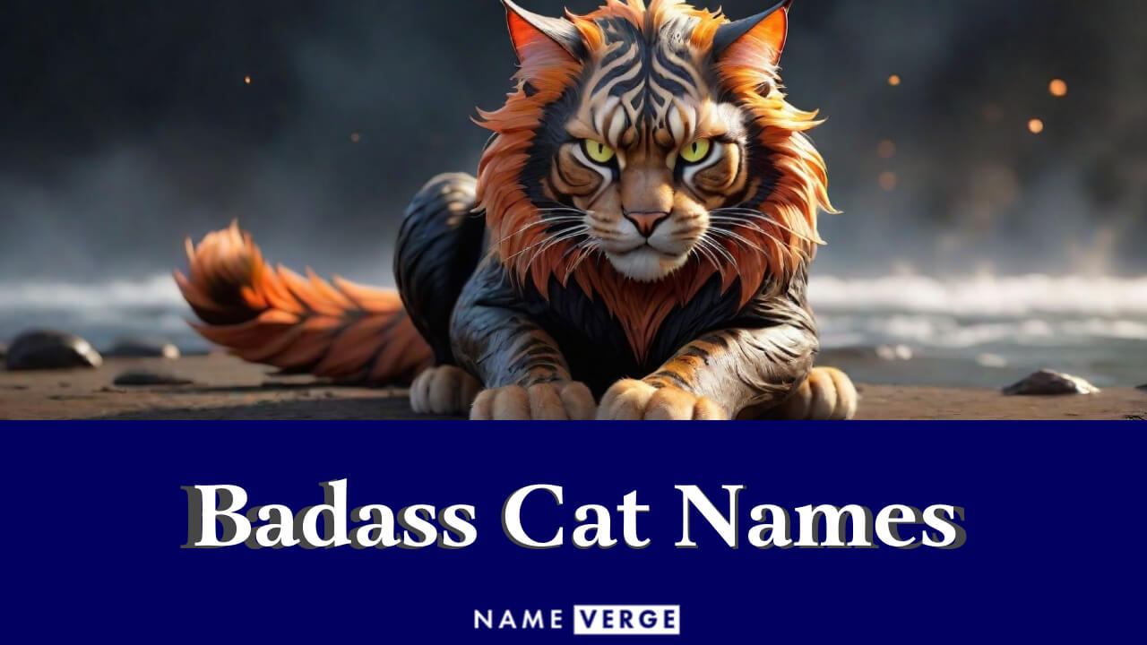 Badass Cat Names: 555+ Best Names For Your Savage Cat