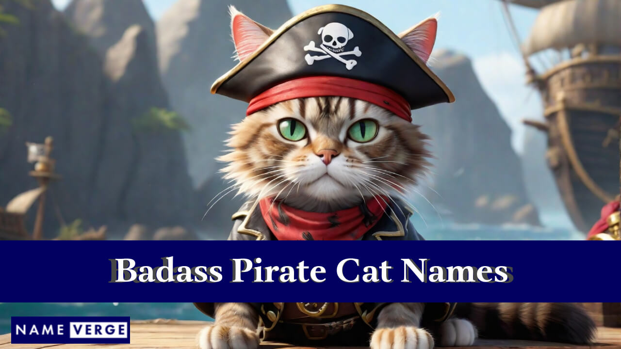 Badass Pirate Cat Names