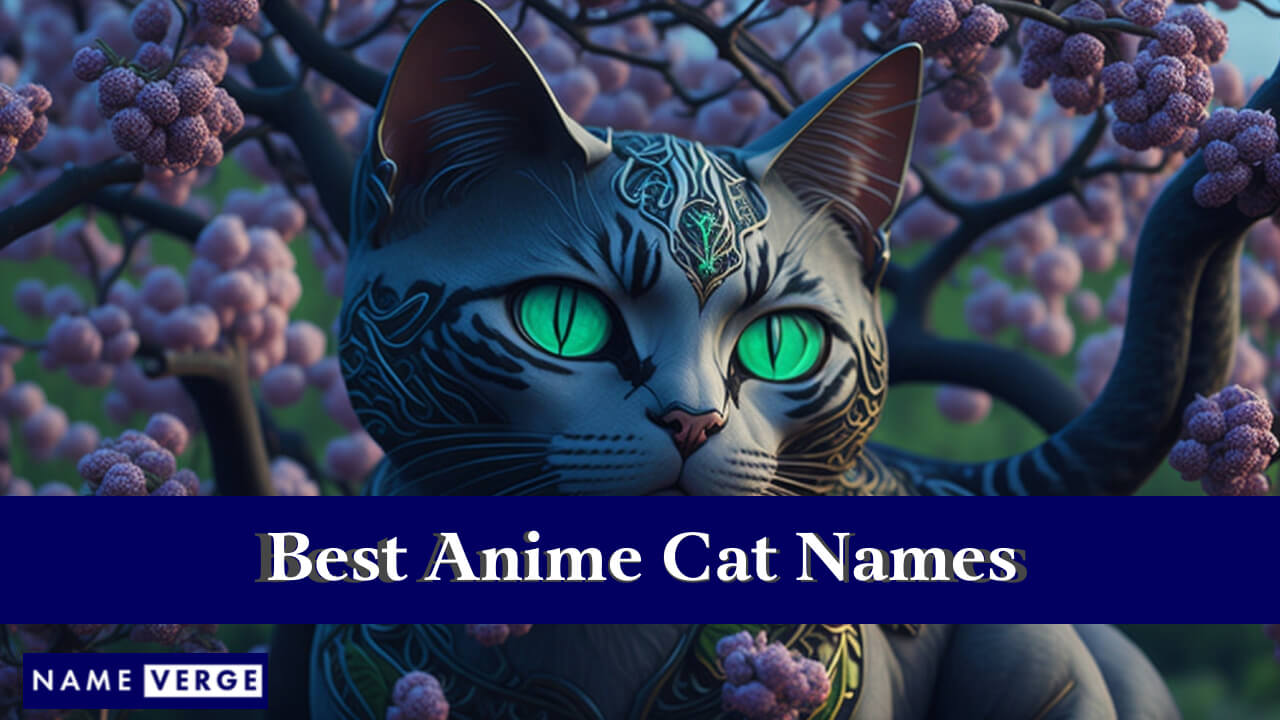 Best Anime Cat Names
