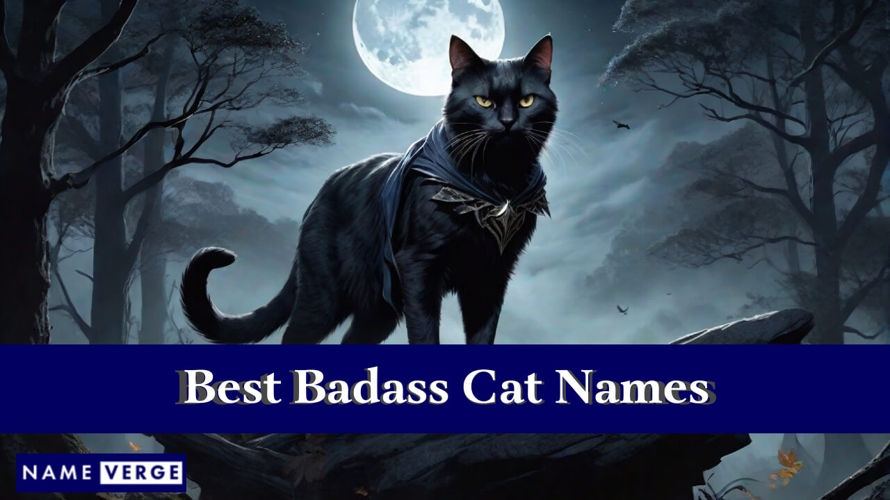 Best Badass Cat Names