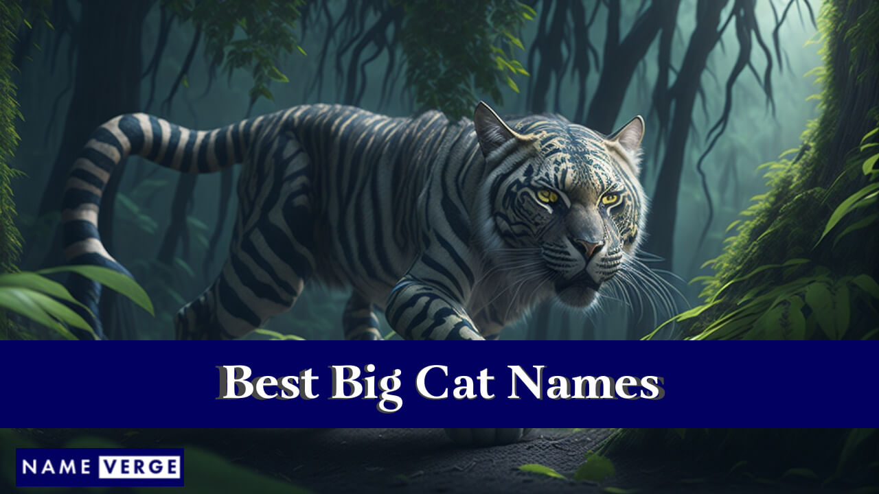Best Big Cat Names