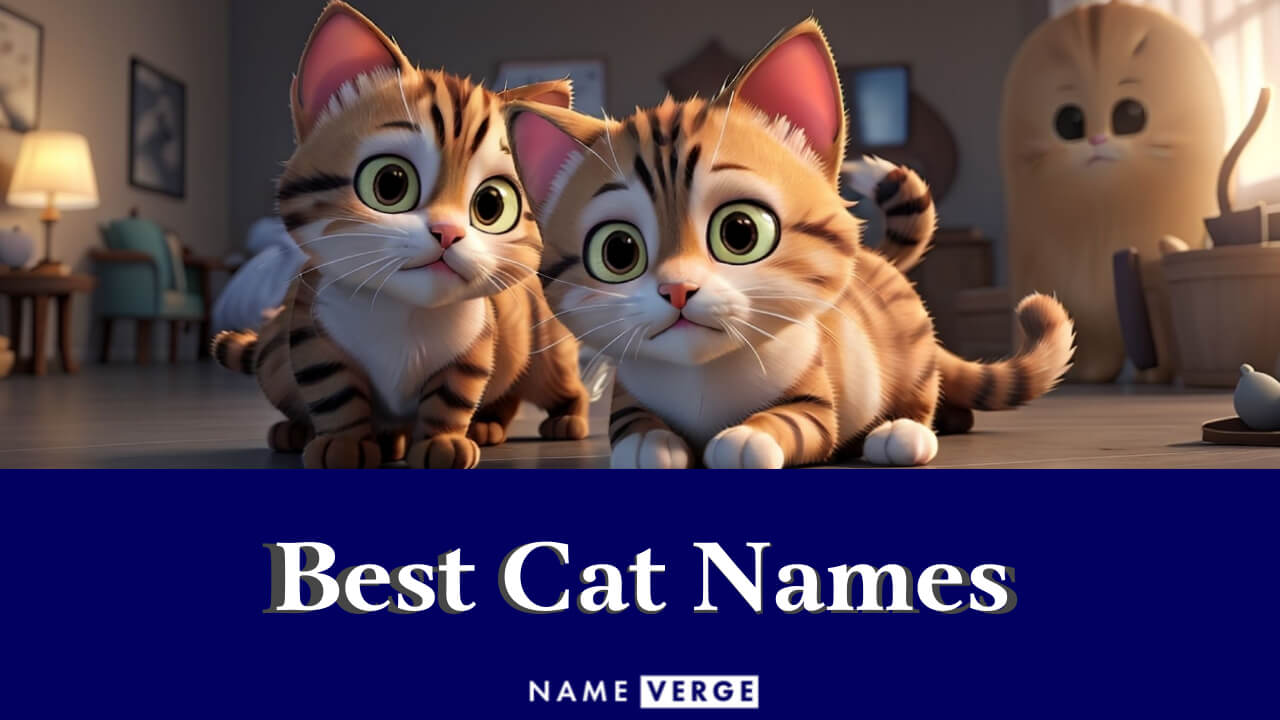 Best Cat Names: 200+ Top Best Names For Your Cats