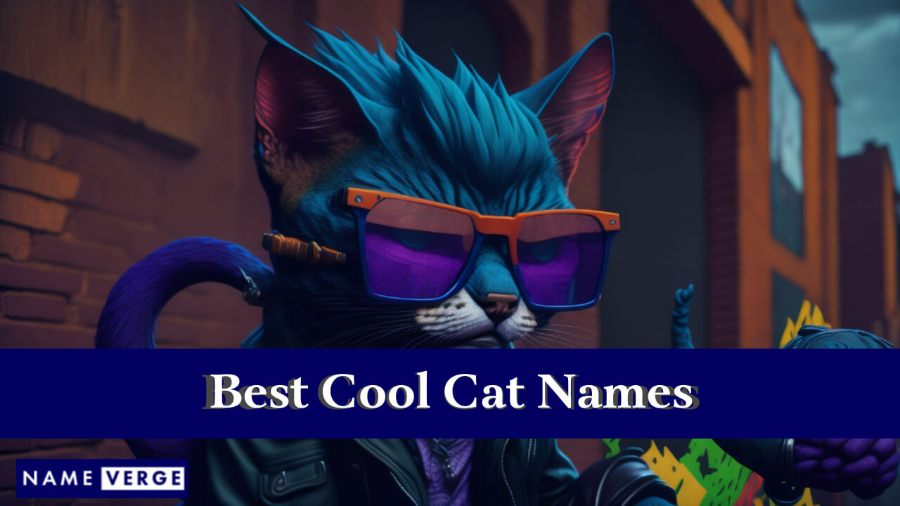 Best Cool Cat Names
