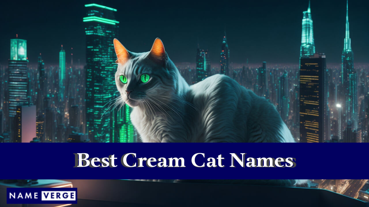 Best Cream Cat Names