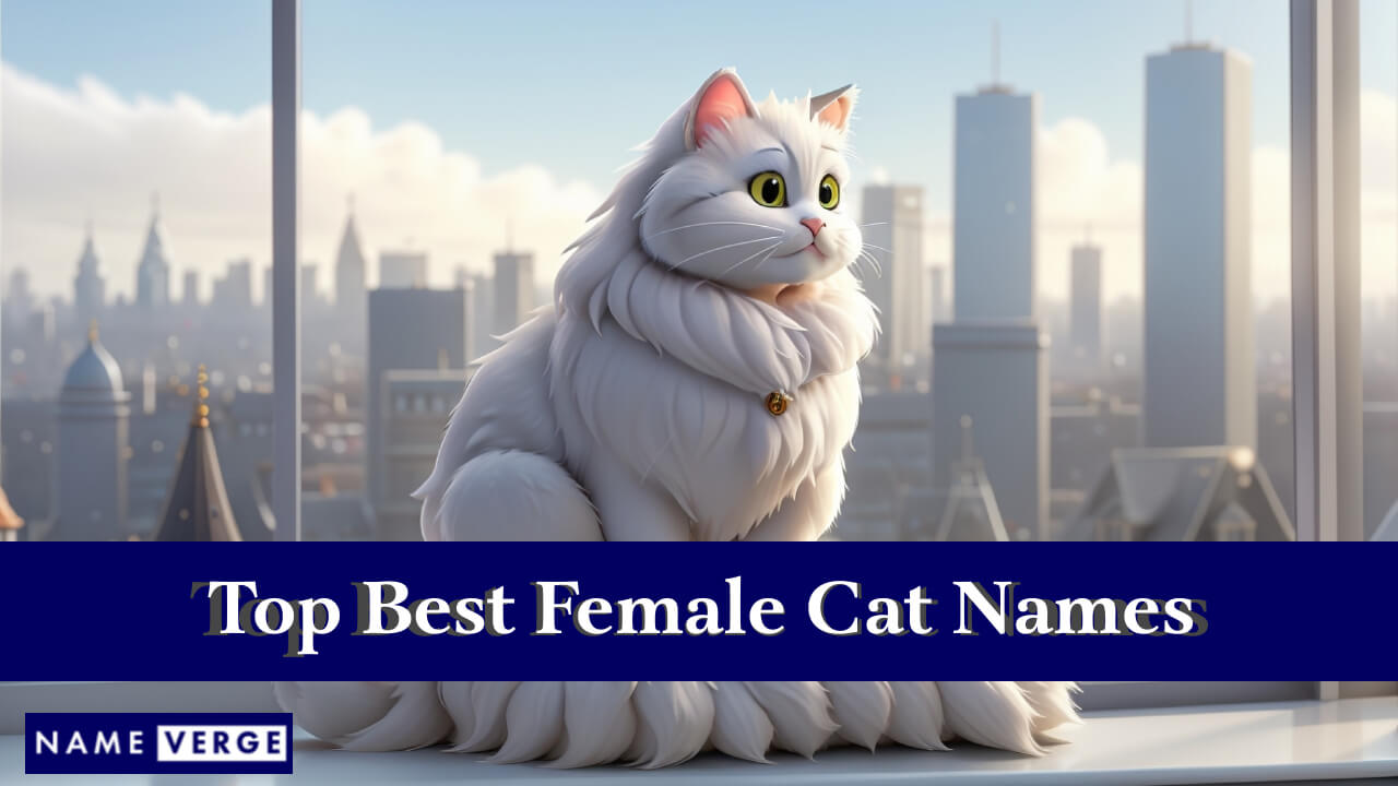 Top Best Female Cat Names
