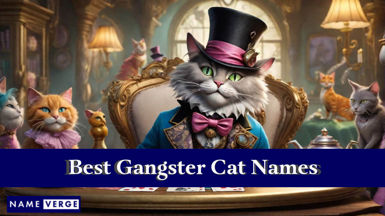 Best Gangster Cat Names