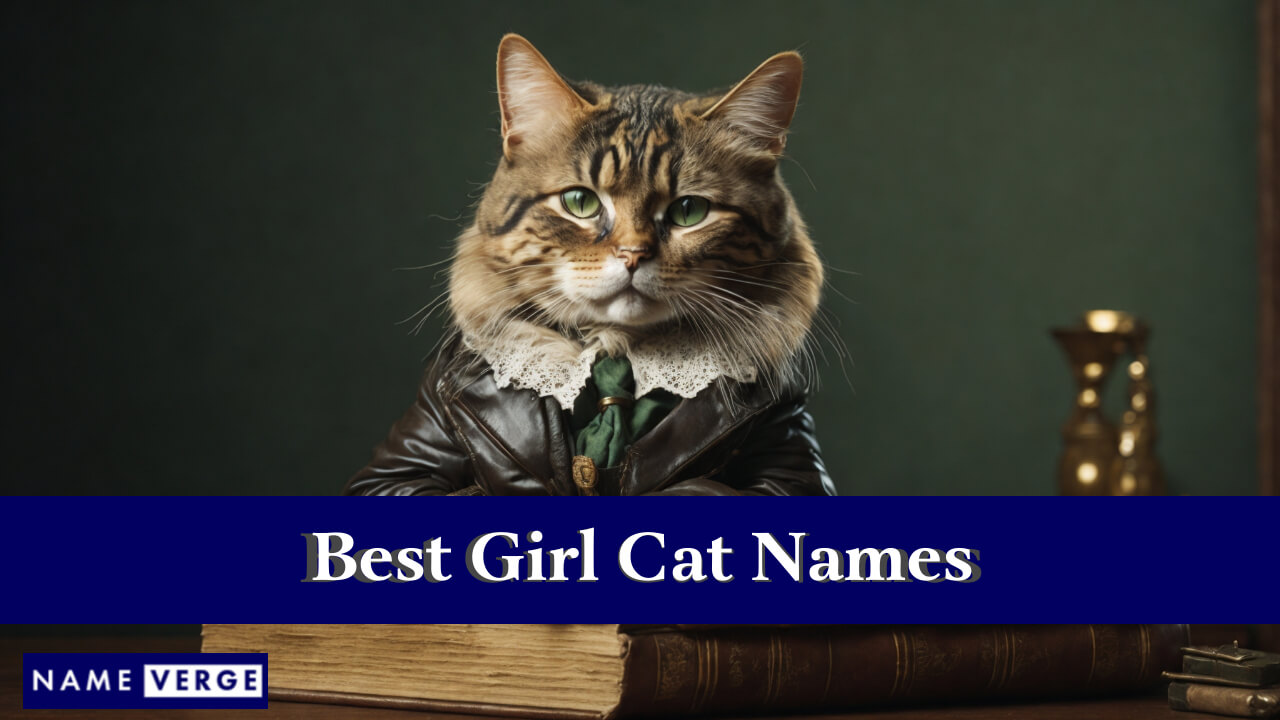 Best Girl Cat Names