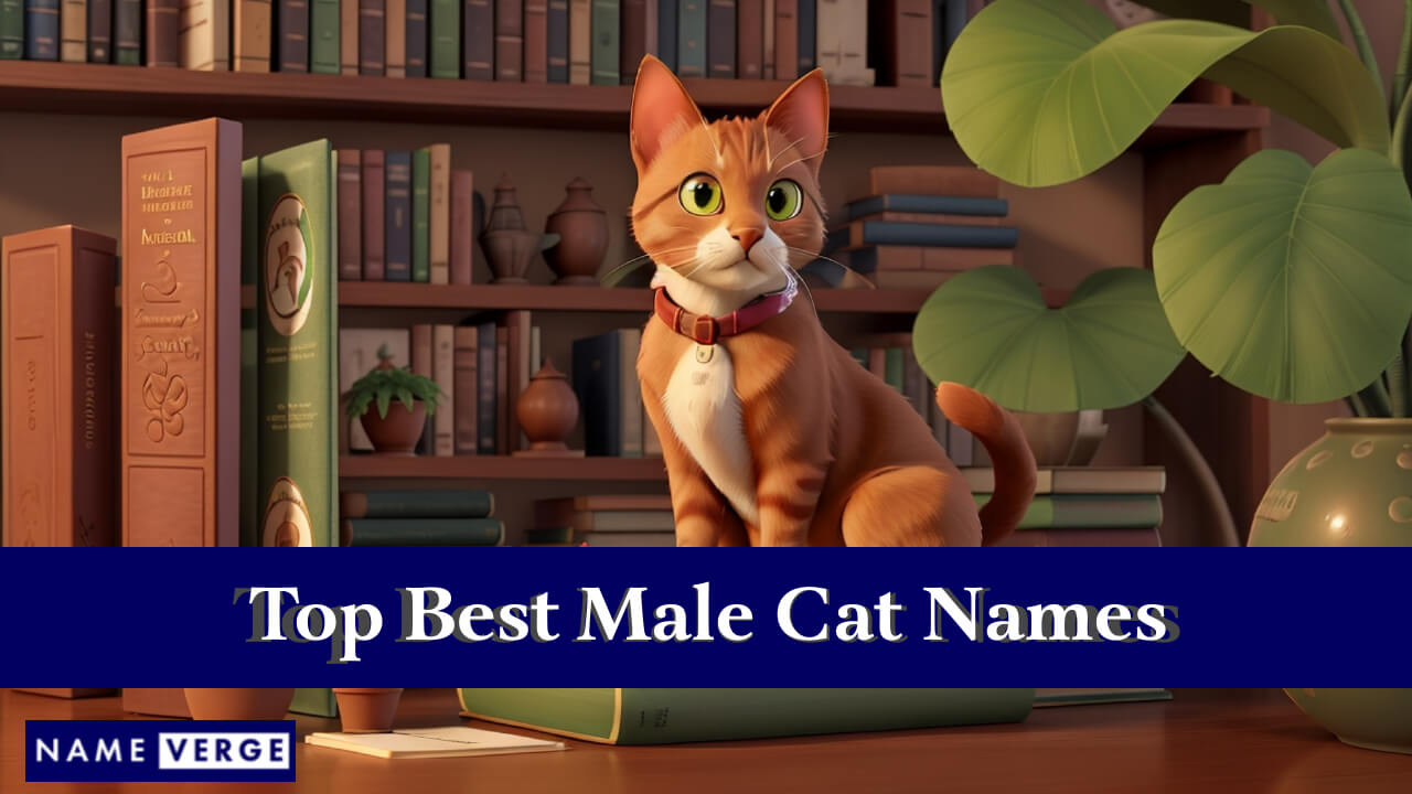 Top Best Male Cat Names