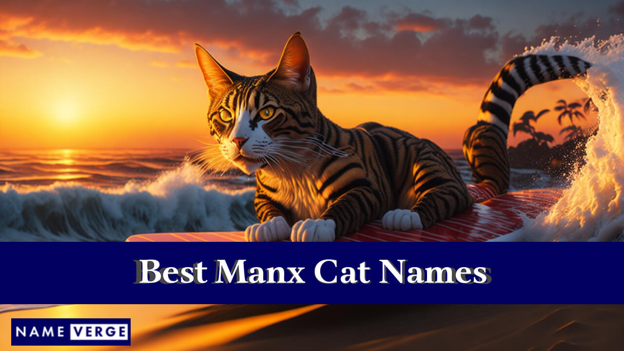 Best Manx Cat Names