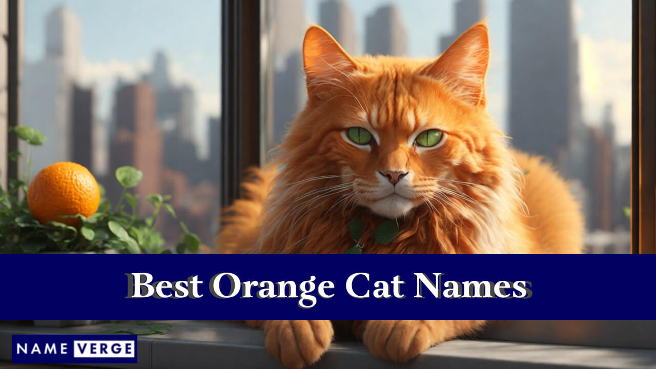 Best Orange Cat Names