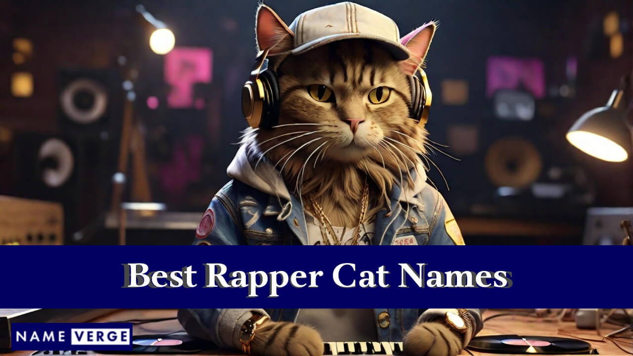 Best Rapper Cat Names
