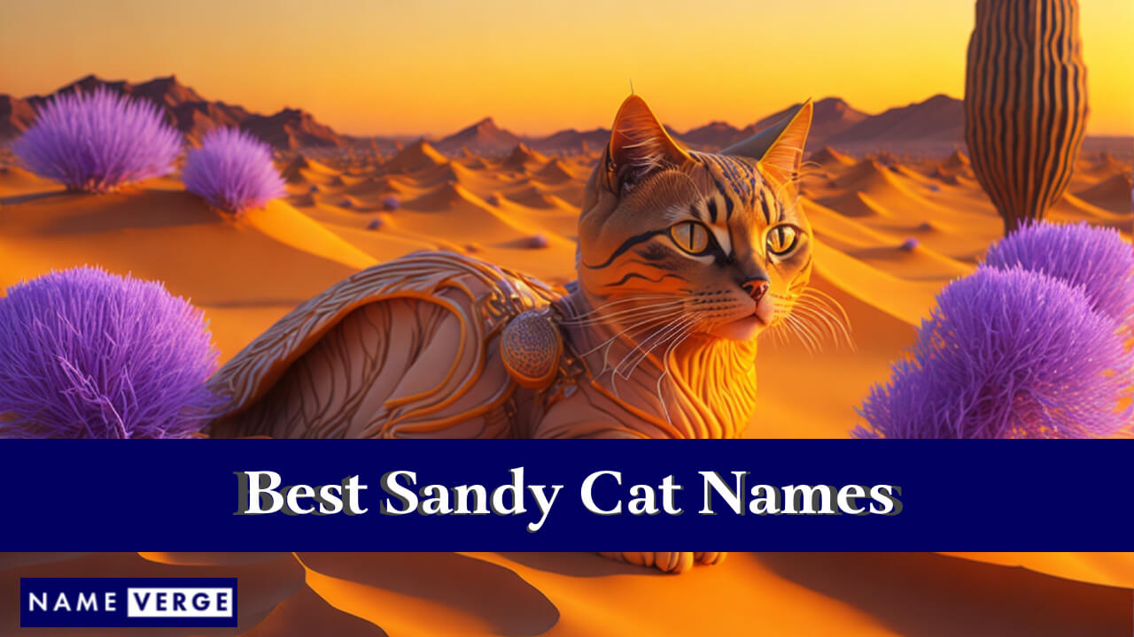 Best Sandy Cat Names