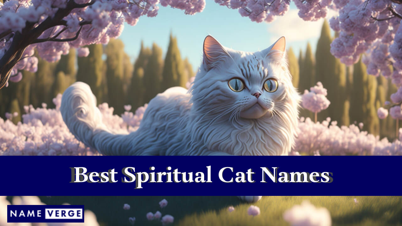 Best Spiritual Cat Names