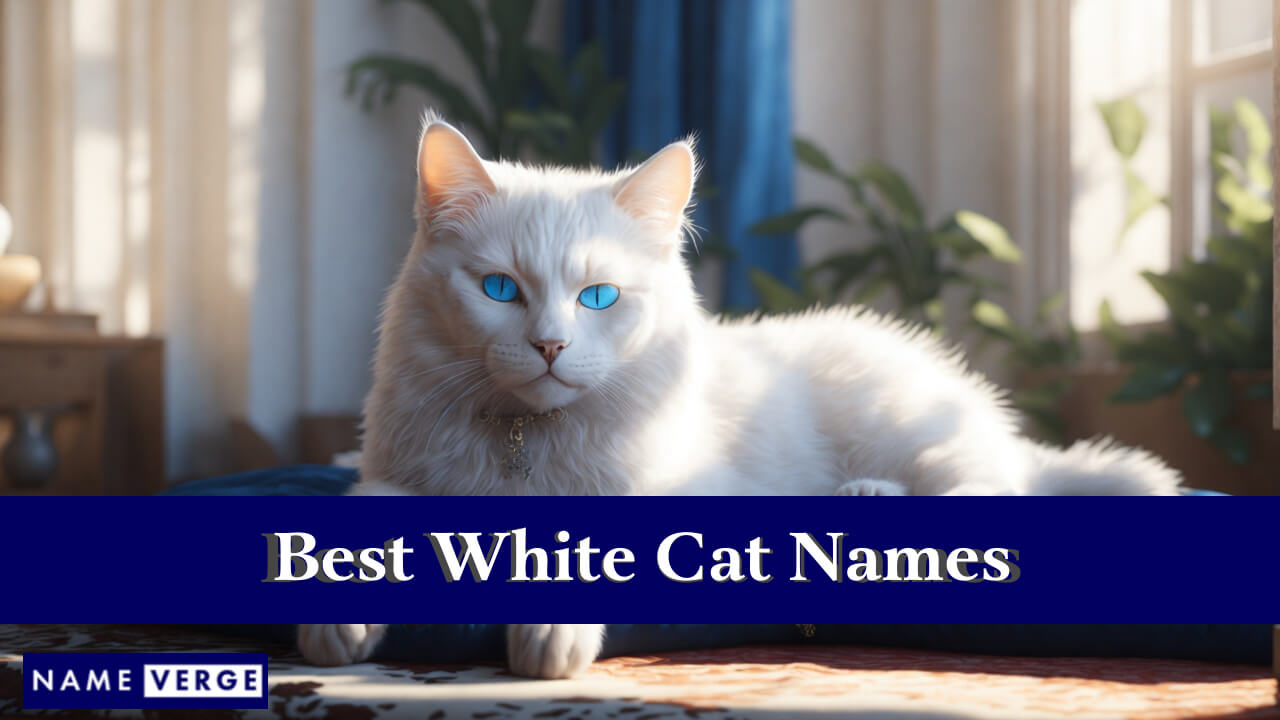 Best White Cat Names
