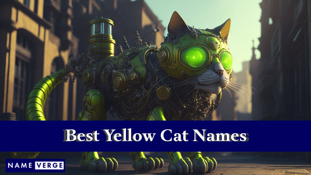 Best Yellow Cat Names