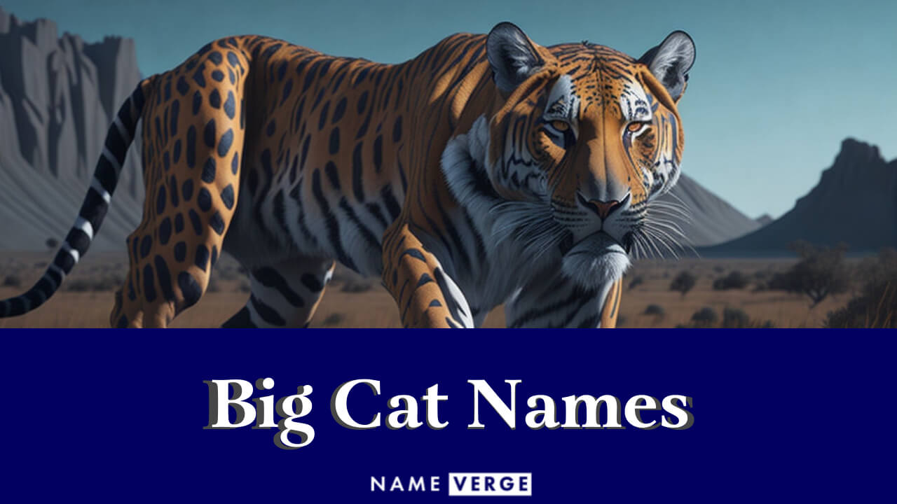 Big Cat Names: 360+ Best Names For Your Giant Feline