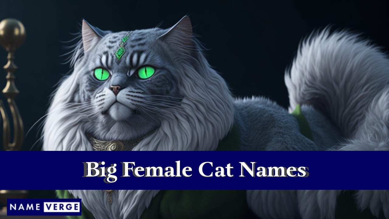 Big Female Cat Names