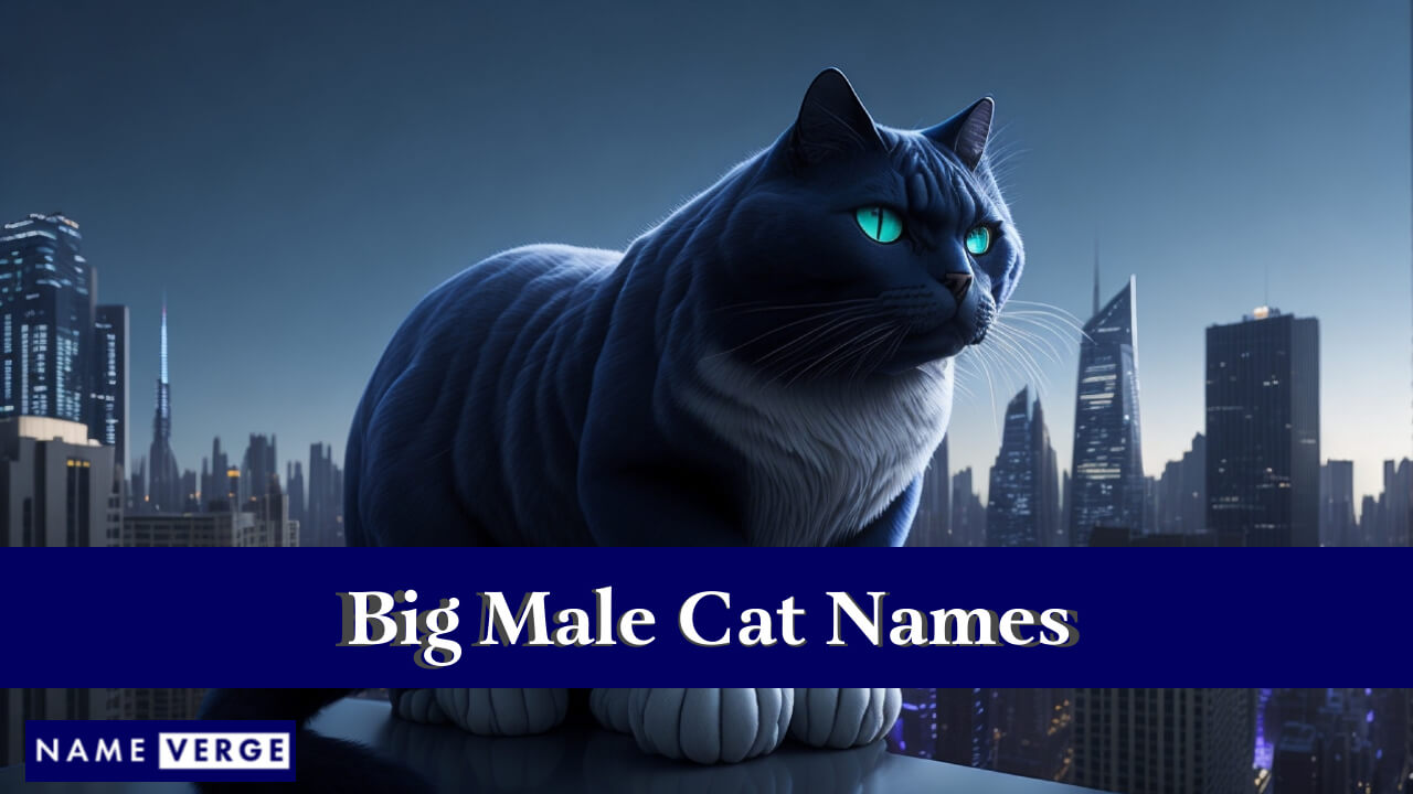 Big Male Cat Names
