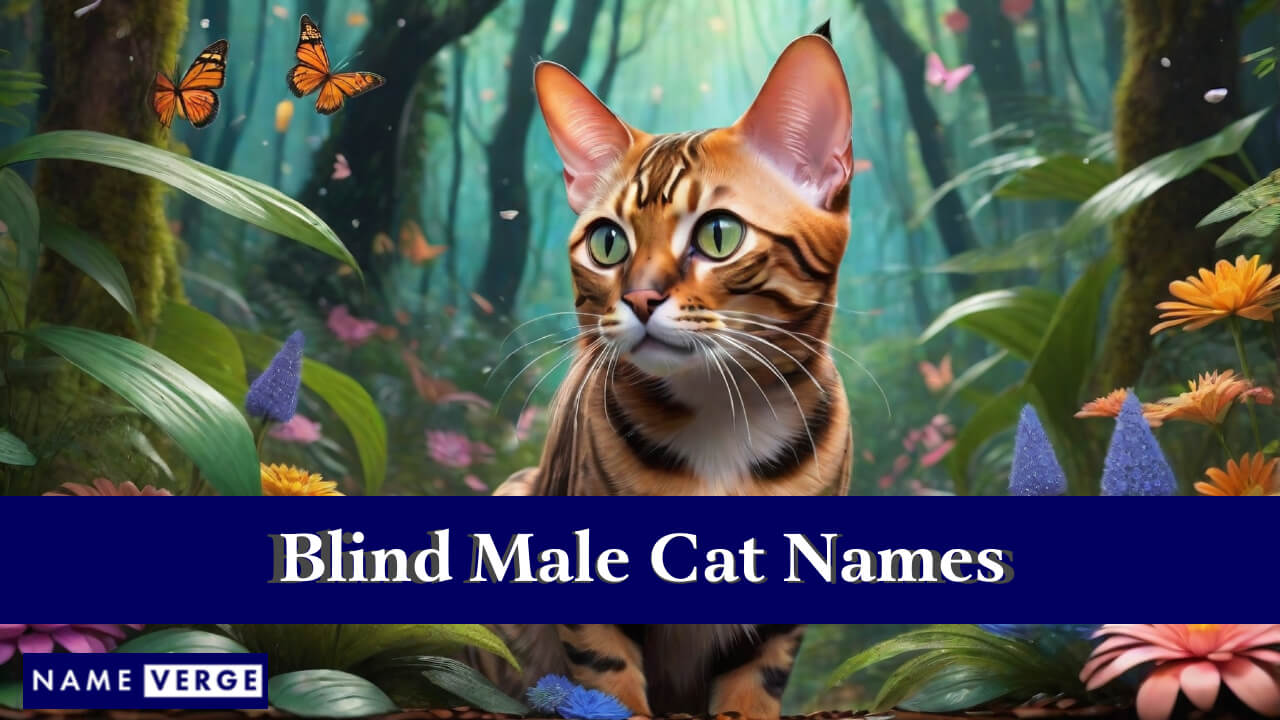 Blind Male Cat Names