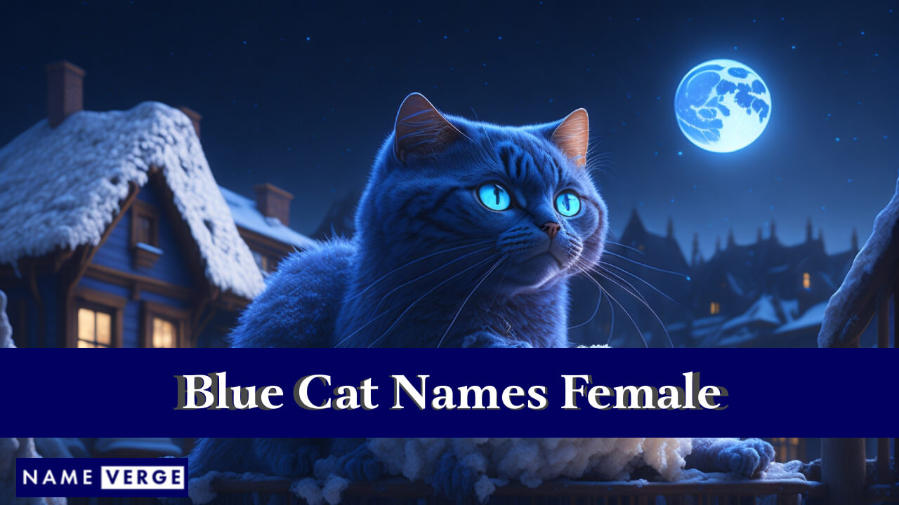 Blue Cat Names Female