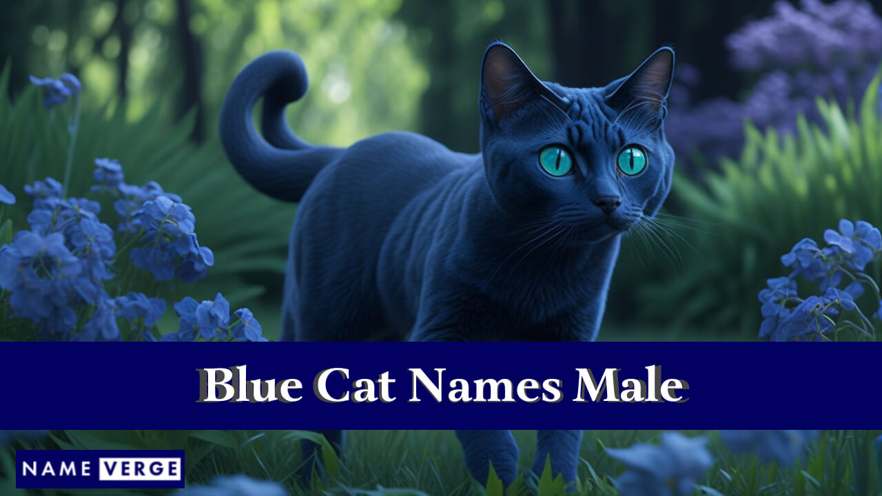 Blue Cat Names Male
