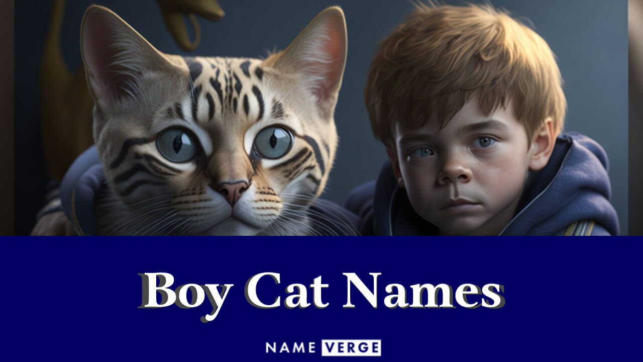 Boy Cat Names: 545+ Cool Name Ideas For Your Male Cats