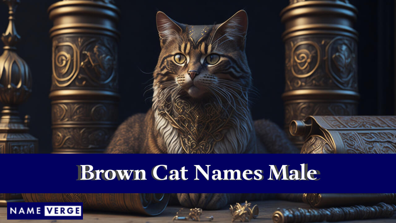 Brown Cat Names Male