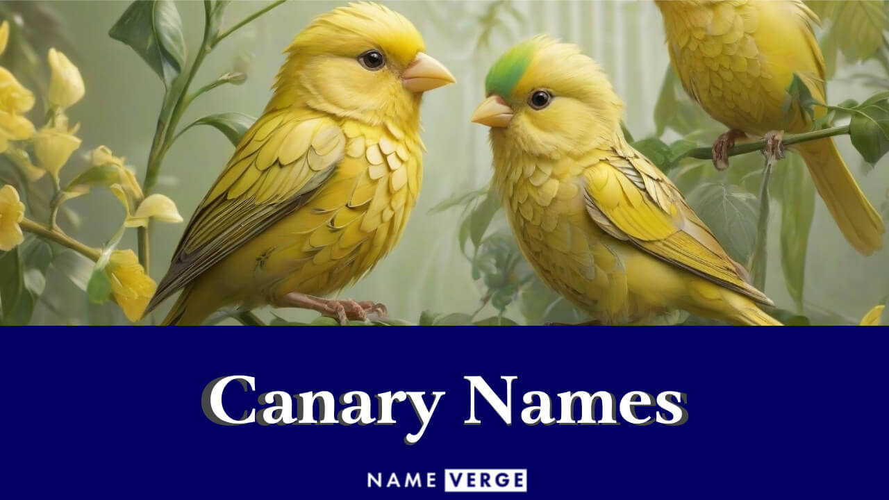 Canary Names: 393+ Cute Pet Names For Your Yellowish Bird
