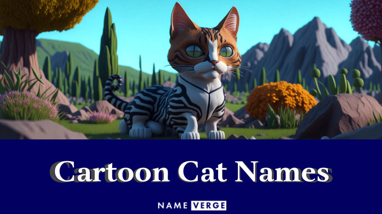 Cartoon Cat Names: 299+ Cool Names For Your Playful Cat