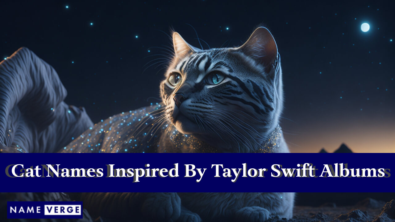 Cat Names Inspired By Taylor Swift Albums