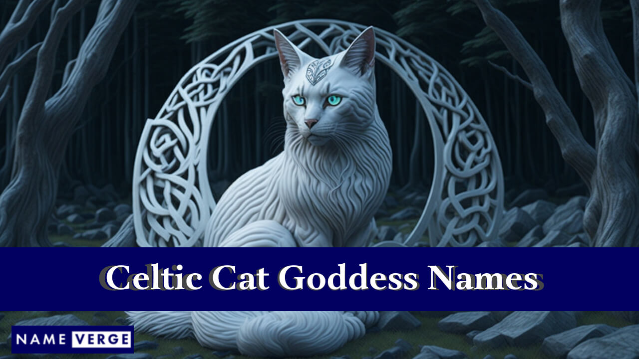 Celtic Cat Goddess Names