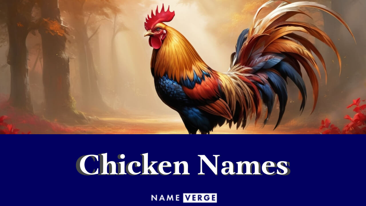 Chicken Names: 711+ Funny Ideas For Your Cute Pet Chickens