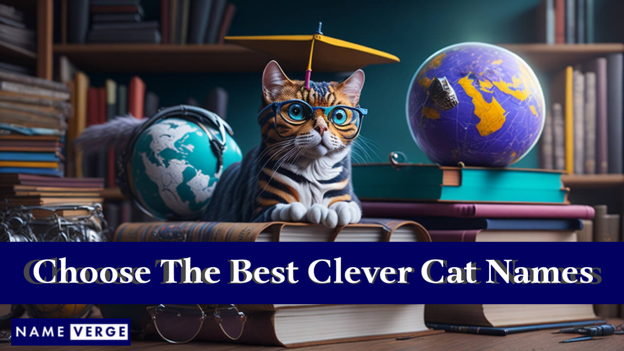 Tips To Choose The Best Clever Cat Names