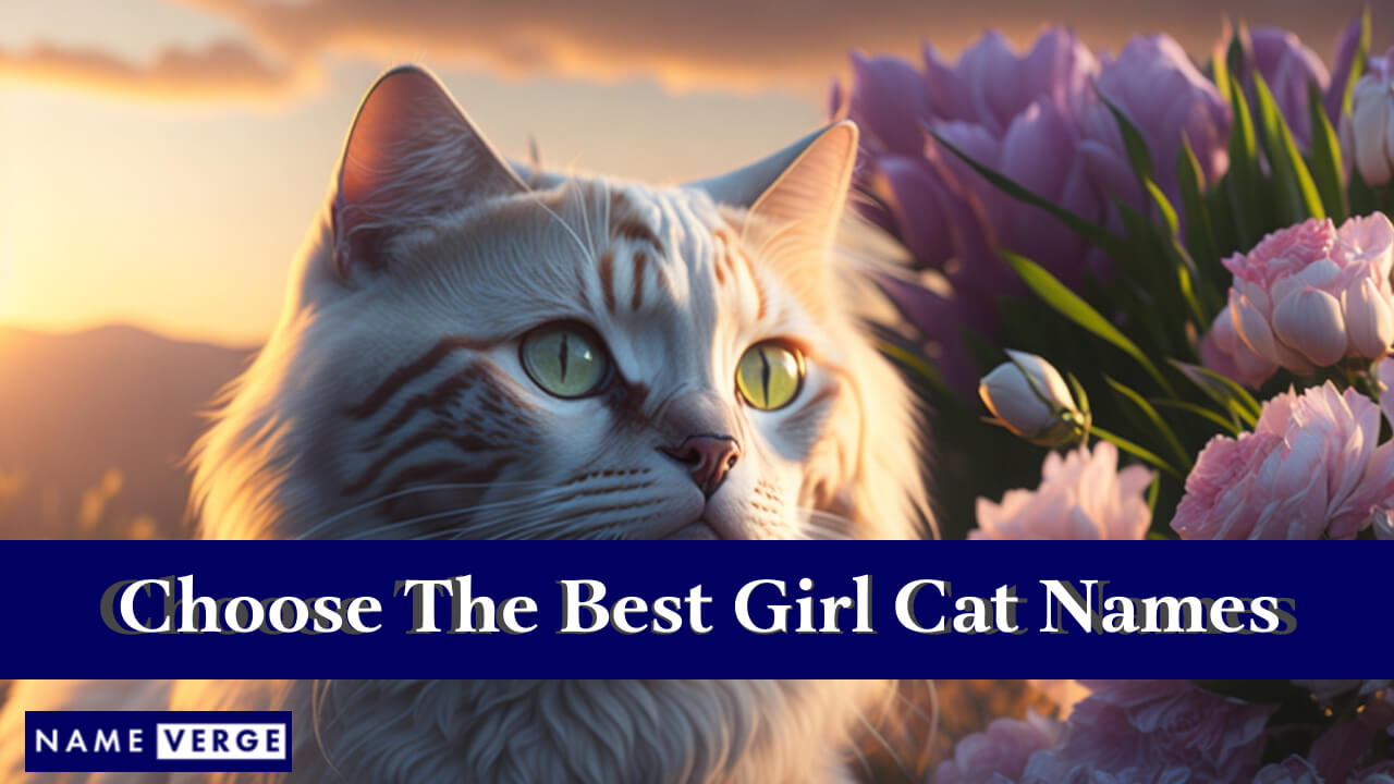 Tips To Choose The Best Girl Cat Names