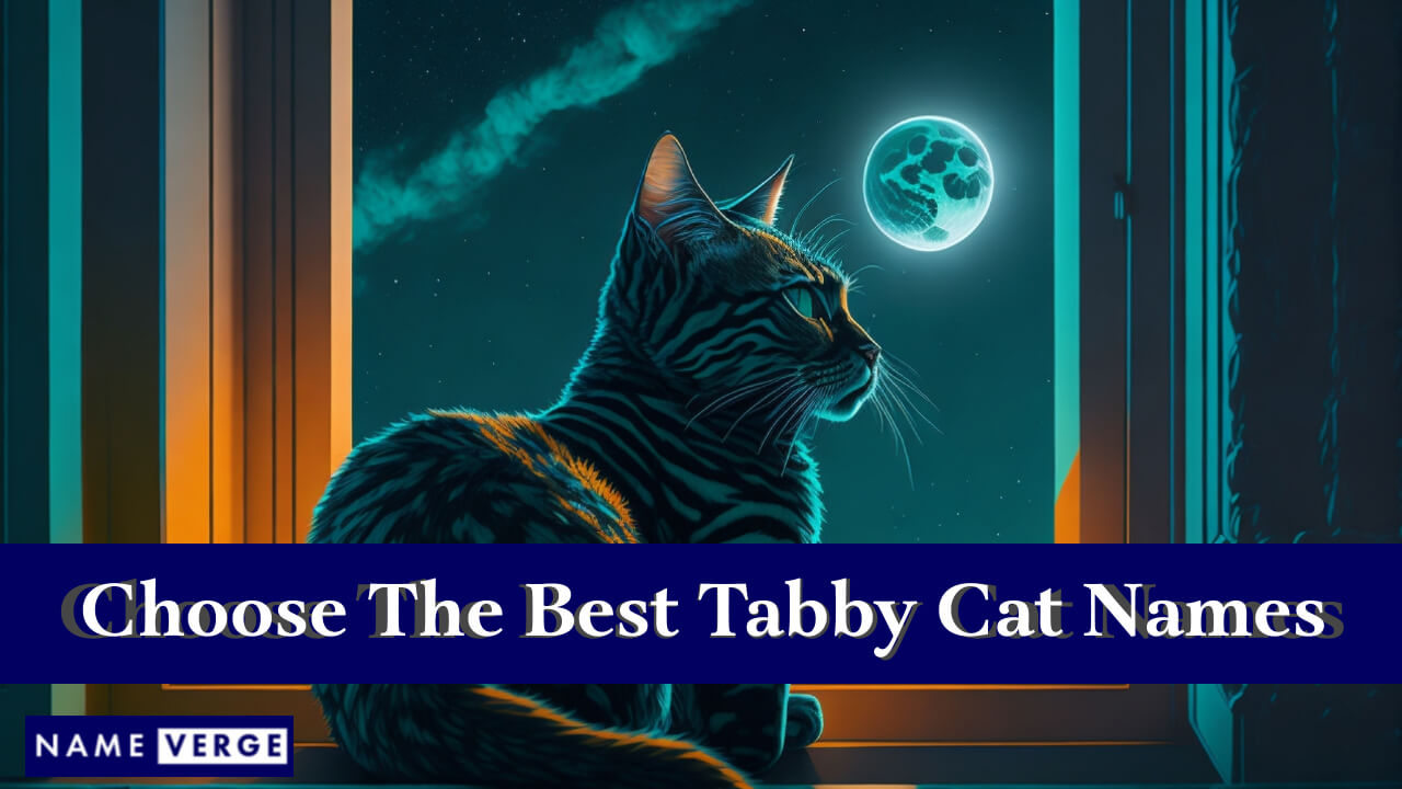 Tips For Choosing The Perfect Tabby Cat Name