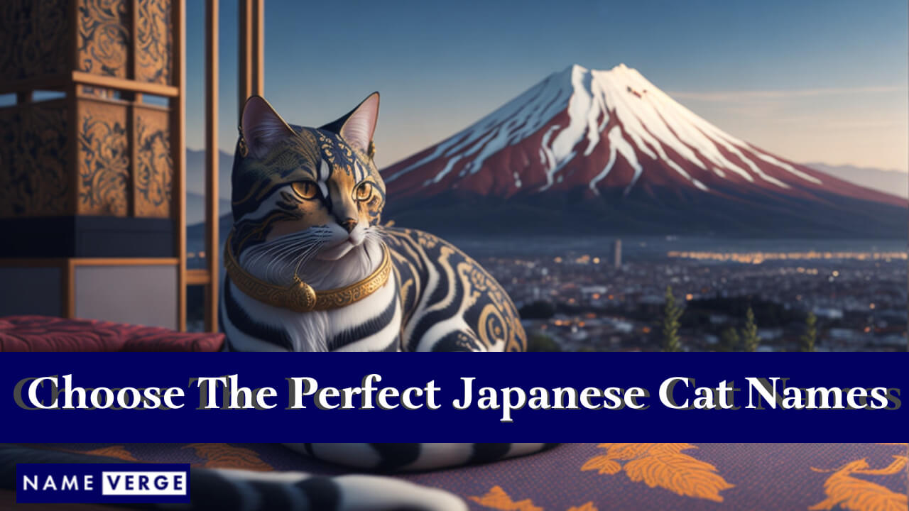 How To Choose The Perfect Japanese Cat Names