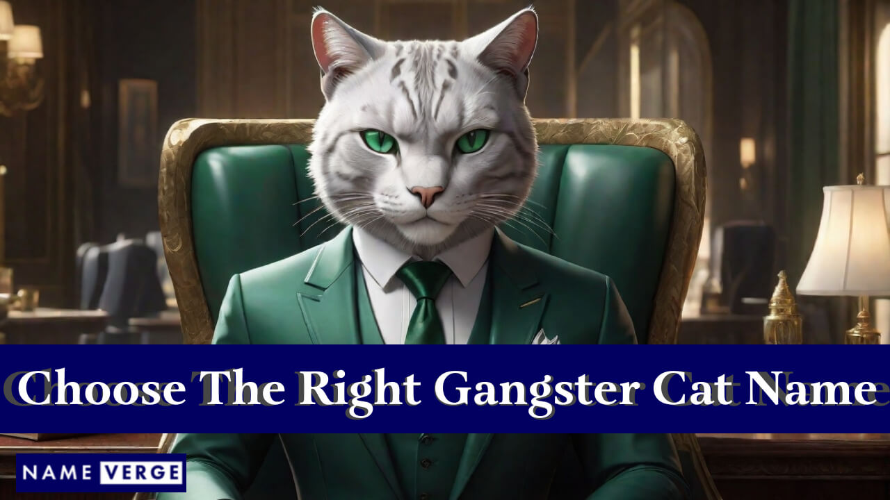 Tips On How To Choose The Right Gangster Cat Name