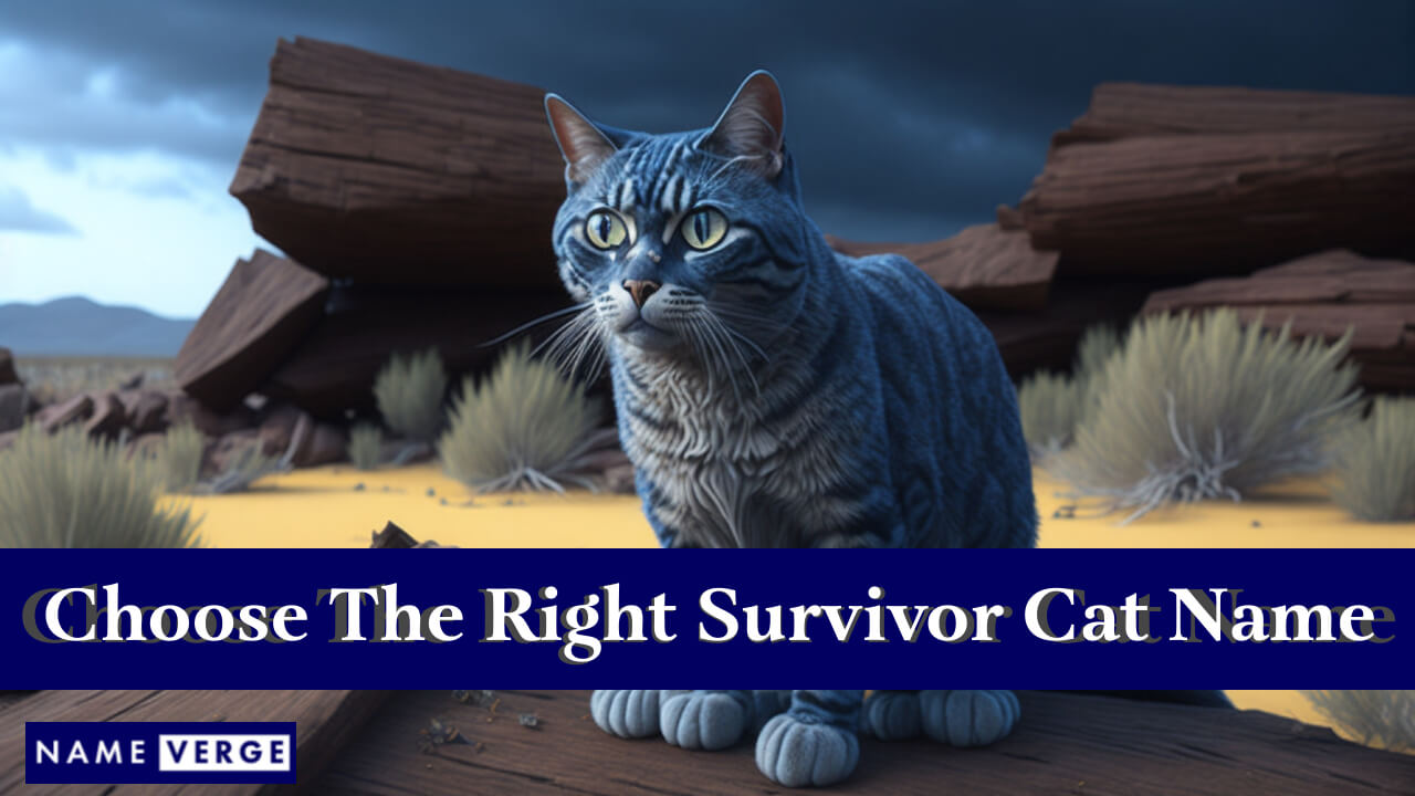 Tips For Choosing The Right Survivor Cat Name