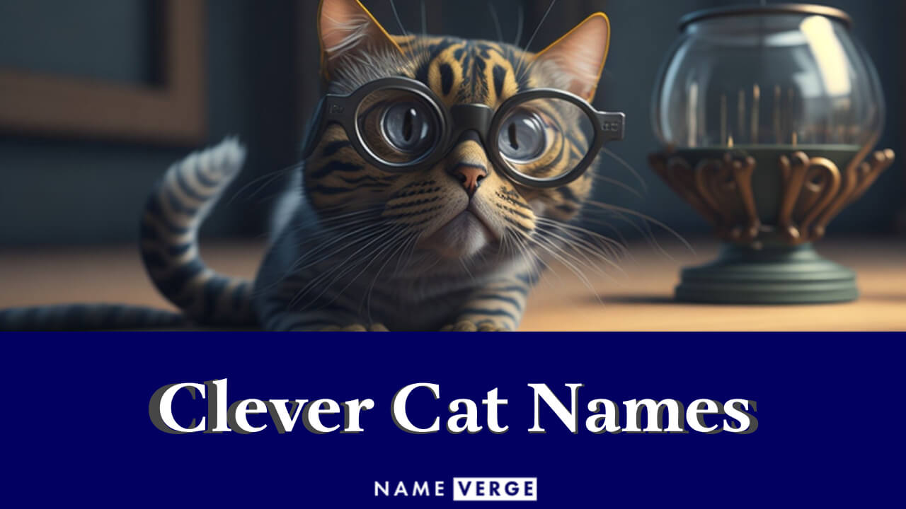 Clever Cat Names: 200+ Smart Names Your Cat Will Love